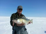 big_walleye_jigging_spoon