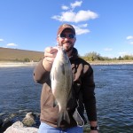 big_white_bass_patrick_edwards