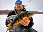 firetiger_perch_ice_fishing_pk_lures