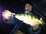 gold_jigging_spoon_perch