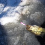 jigging_spoon_bass_ice_fishing