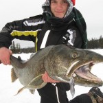 lake_trout_ice_fishing_jigging_spoons