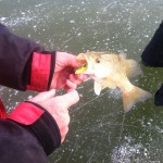 pk_ice_fishing_bass