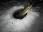 pk_walleye_ice_fishing_spoons