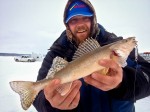 sauger_red_dot_glow_nickel_spoon_ice_fishing