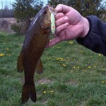 smallmouth_bass_jigging_spoons_summer