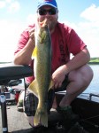 walleye_fishing_firetiger_spoon