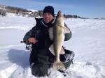 walleye_ice_fishing_jigging_spoon_nickel
